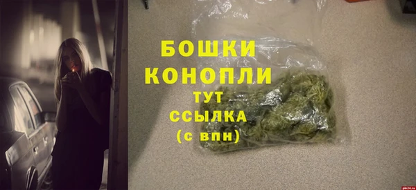 СК Каменск-Шахтинский