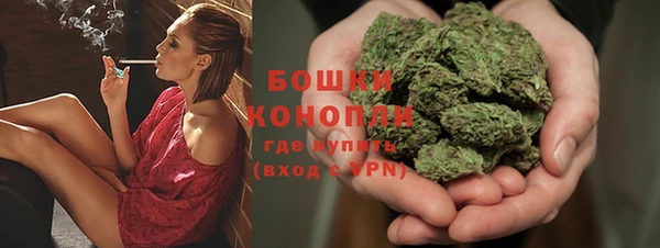 эйфоретик Инсар