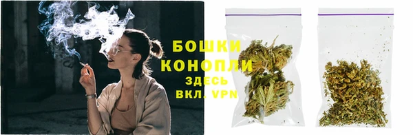 эйфоретик Инсар