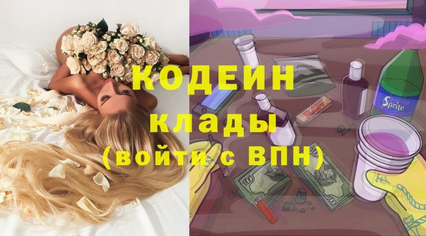 соль ск Инта