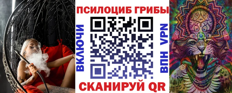 Купить  Яхрома  Галлюциногенные грибы GOLDEN TEACHER 